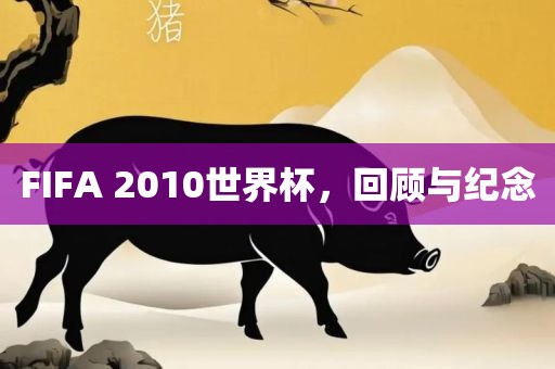 FIFA 2010世界杯，回顾与纪念