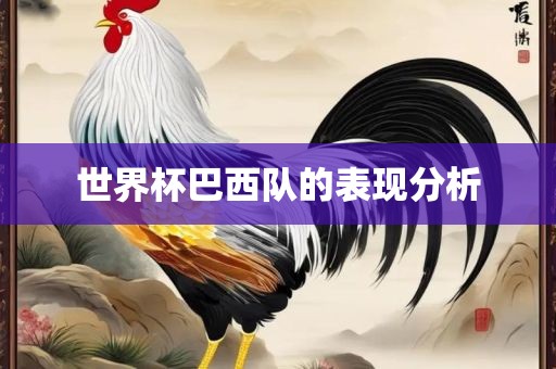 世界杯巴西队的表现分析眉山市正发家政服务有限公司