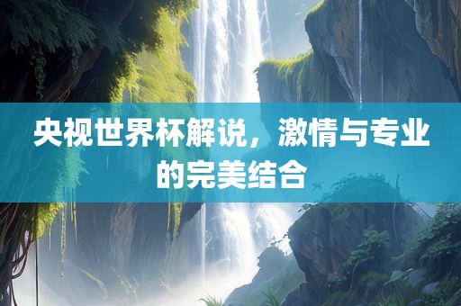 央视世界杯解说，激情与专业的完美结合