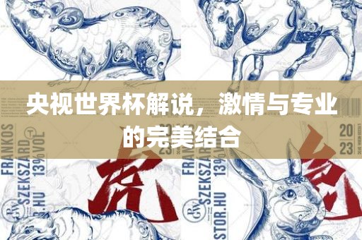 央视世界杯解说，激情与专业的完美结合