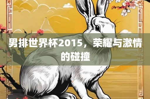 男排世界杯2015，荣耀与激情的碰撞