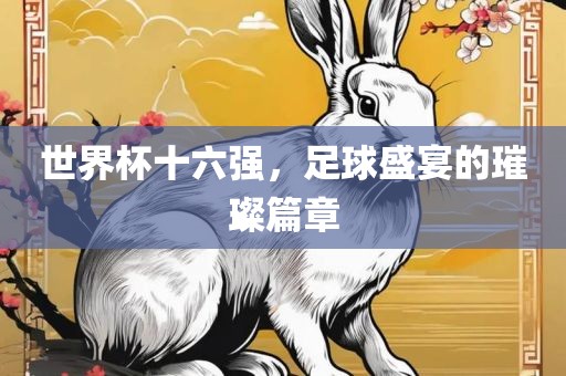 世界杯十六强，足球盛宴的璀璨篇章