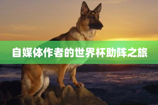 自媒体作者的世界杯助阵之旅眉山市正发家政服务有限公司