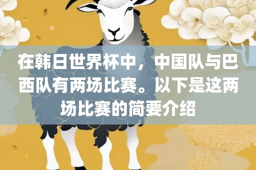 在韩日世界杯中，中国队与巴西队有两场比赛。以下是这两场比赛的简要介绍