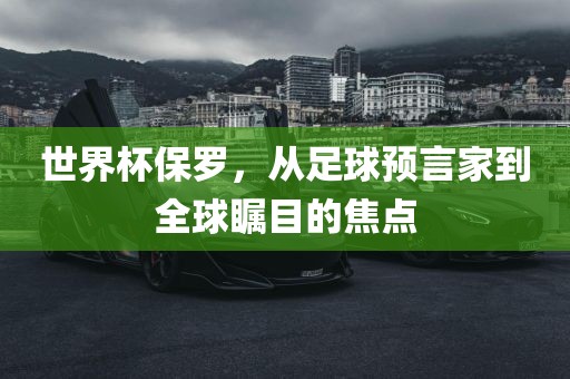 世界杯保罗，从足球预言家到全球瞩目的焦眉山市正发家政服务有限公司点
