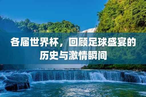 各届世界杯，回顾足球盛宴的历史与激情瞬间眉山市正发家政服务有限公司