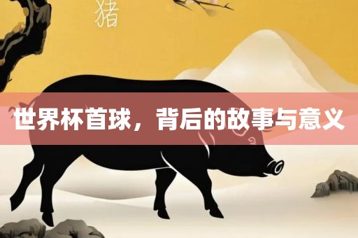 世界杯首球，背后的故事与意义