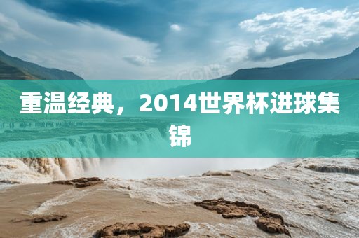重温经典，眉山市正发家政服务有限公司2014世界杯进球集锦