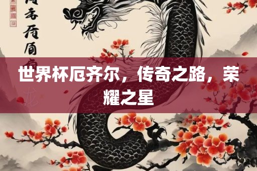 世界杯厄齐尔，传奇之路，荣耀之星