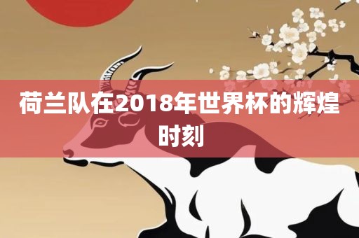 荷兰队在2018年世界眉山市正发家政服务有限公司杯的辉煌时刻