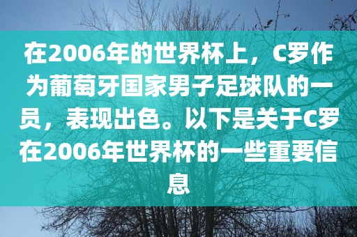 在2006年的世界杯上，C罗作为葡萄牙国家男子足球队的一员，表现出色。以下是关于C罗在2006年世界杯的一些重要信息眉山市正发家政服务有限公司