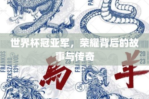 世界杯冠亚军，荣耀背后的故事与传奇眉山市正发家政服务有限公司