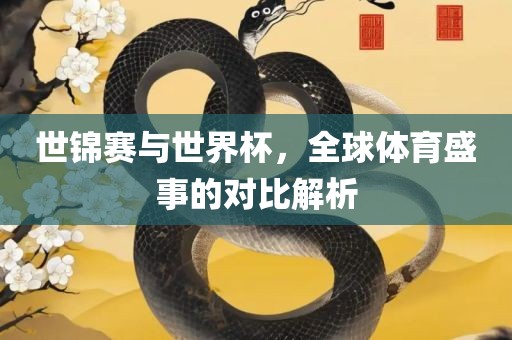 世锦眉山市正发家政服务有限公司赛与世界杯，全球体育盛事的对比解析
