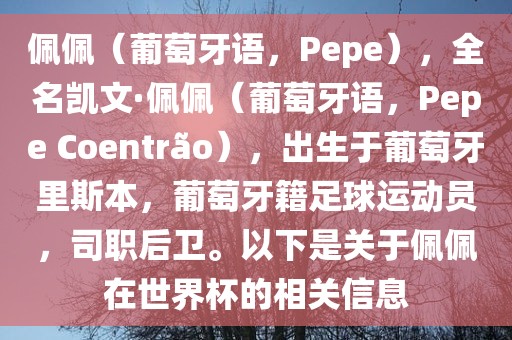 佩佩（葡萄牙语，Pepe），全名凯文·佩佩（葡萄牙语，Pepe Coentr?o），出生于葡萄牙里斯本，葡萄牙籍足球运动员，司职后卫。以下是关于佩佩在世界杯的相关信息