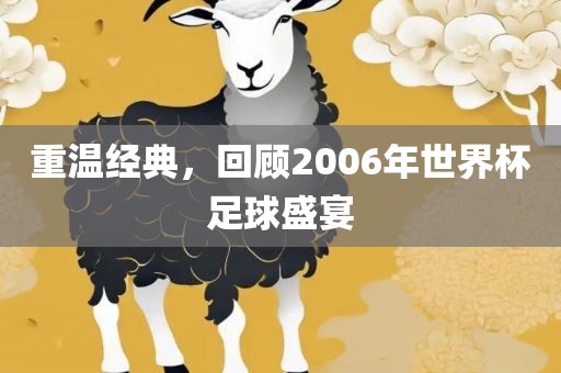重温经典，回顾2006年世界杯足球盛宴眉山市正发家政服务有限公司