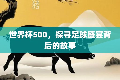 足球盛宴背后的故事 第6页