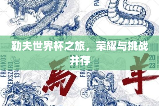 勒夫世界杯之旅，荣耀与挑战并存