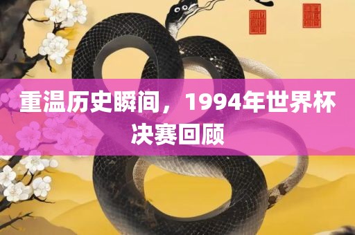 重温历史瞬间，1眉山市正发家政服务有限公司994年世界杯决赛回顾