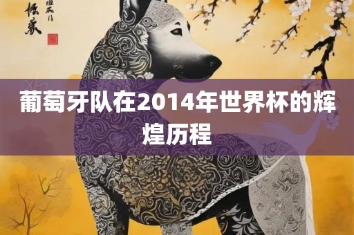 葡萄牙队在2014年世界杯的辉煌历程