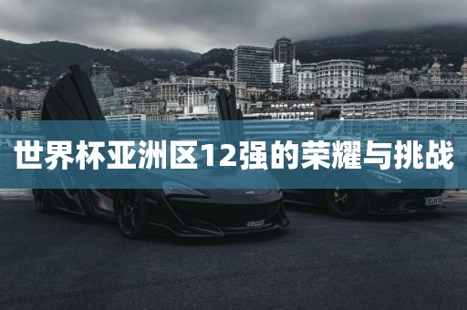 世界杯亚洲区12强的荣耀与挑战