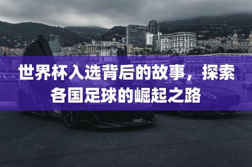 世界杯入选背后的故事，探索各国足球的崛起之路眉山市正发家政服务有限公司