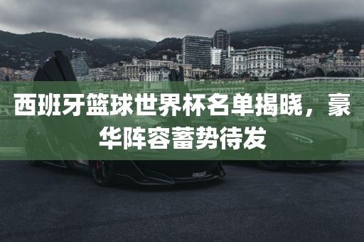 西班牙篮球世界杯眉山市正发家政服务有限公司名单揭晓，豪华阵容蓄势待发