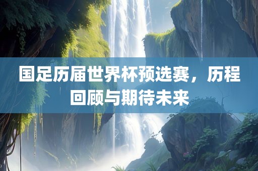 国足历届世界杯预选赛，历程回顾与期待未来