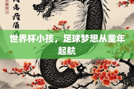 世界杯小孩，足球梦想从童年起航眉山市正发家政服务有限公司