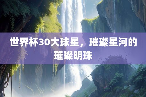 世界杯30大球星，璀璨星河的璀璨明珠眉山市正发家政服务有限公司