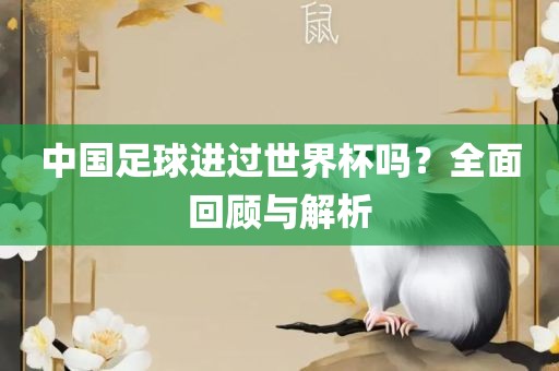 世界杯历史 第3页