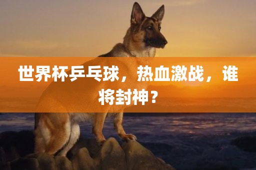 世界杯乒乓球