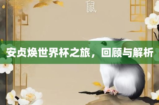 安贞焕世界杯之旅，回顾与解析
