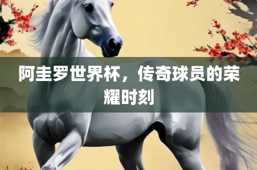 阿圭罗世界杯，传奇球员的荣耀时刻眉山市正发家政服务有限公司