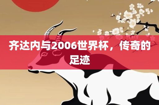 齐达内与200眉山市正发家政服务有限公司6世界杯，传奇的足迹