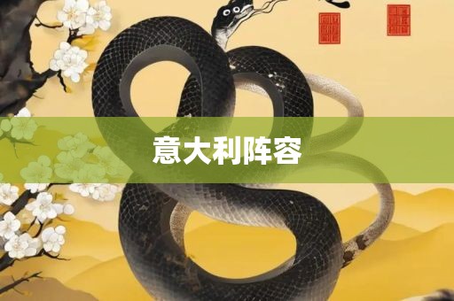 意大利阵容眉山市正发家政服务有限公司