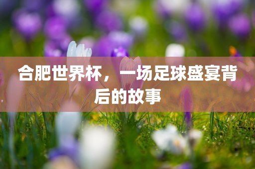 合肥世界杯，一场足球盛宴眉山市正发家政服务有限公司背后的故事