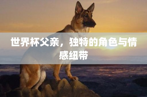 世界杯父亲，独特的角色与情感眉山市正发家政服务有限公司纽带