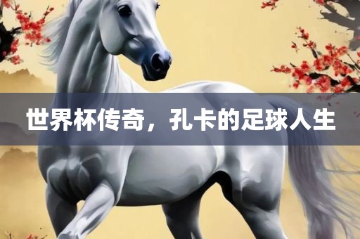 世界杯传奇，孔卡的足球人生眉山市正发家政服务有限公司