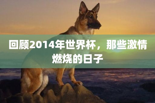 回顾2014年世界杯，那些激情燃烧的日子