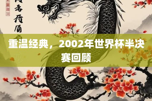 重温经典，2002年世界杯半决赛回顾