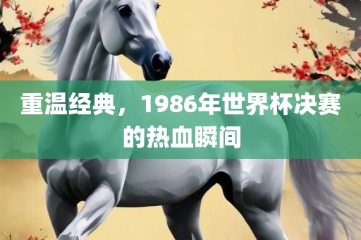 重温经典，1986年世界杯决赛的热血瞬间眉山市正发家政服务有限公司