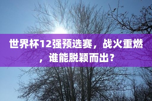 世界杯12强预选赛，战火重燃，谁能脱颖而出？