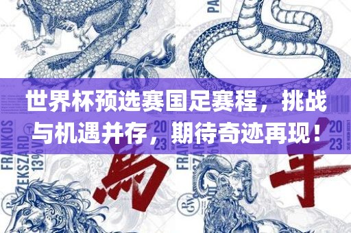 世界杯预选赛国足赛程，挑战与机遇并存，期待奇迹再现！