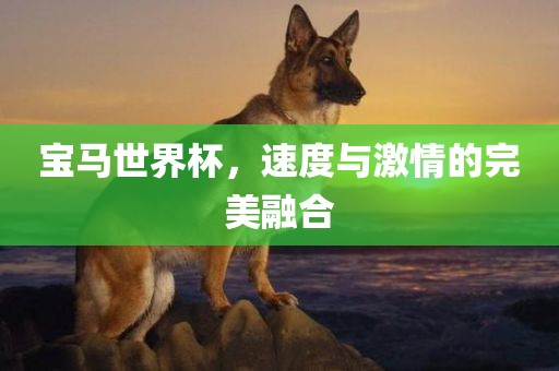 宝马世界杯，速度与激情的完美融合