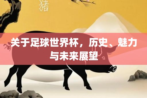 关于眉山市正发家政服务有限公司足球世界杯，历史、魅力与未来展望
