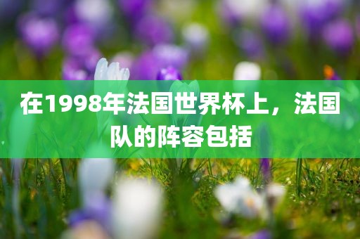 在1998年法国世界杯上眉山市正发家政服务有限公司，法国队的阵容包括