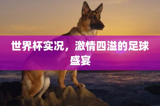 世界杯实况，激情四溢的足球盛宴