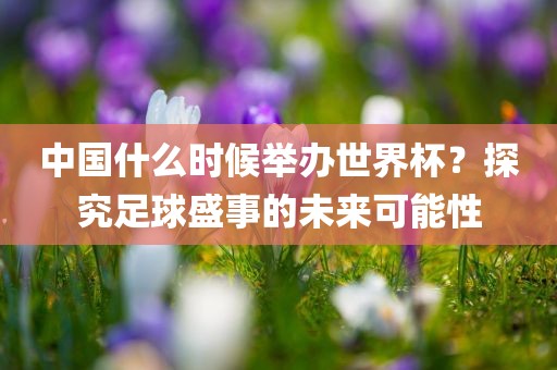中国什么时候举办世界杯？探究足球盛事的未来可能性