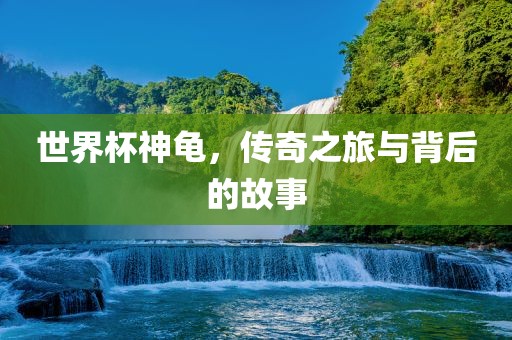 世界杯神龟，传奇之旅与背后的故事