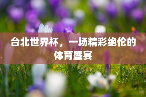 台北世界杯，一场精彩绝伦的体育盛宴
